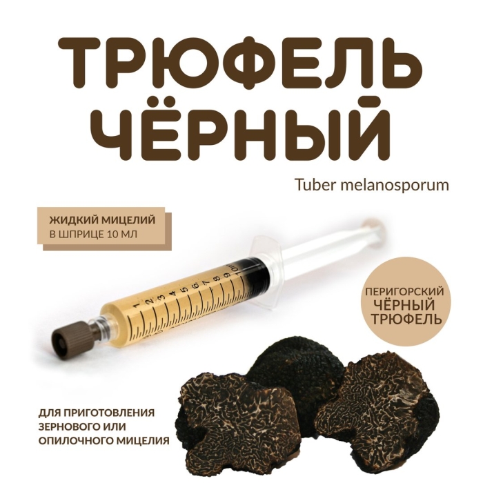 Мицелий трюфель черный