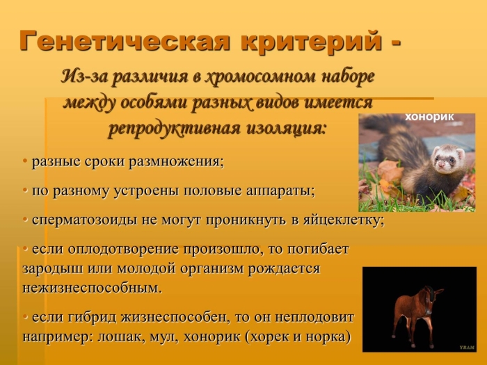 Генетический критерий