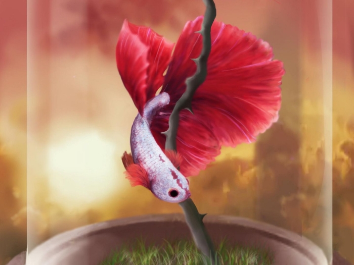 Цветок рыбка