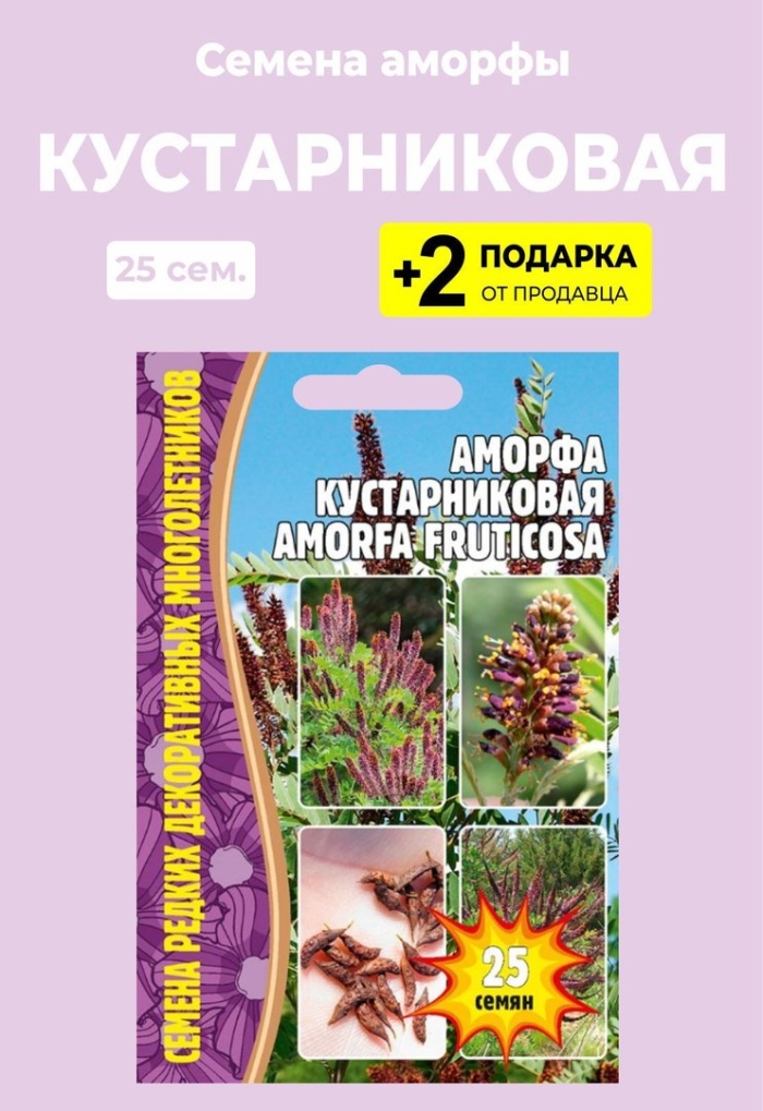 Аморфа кустарниковая (amorpha fruticosa) 25 шт редкие растения