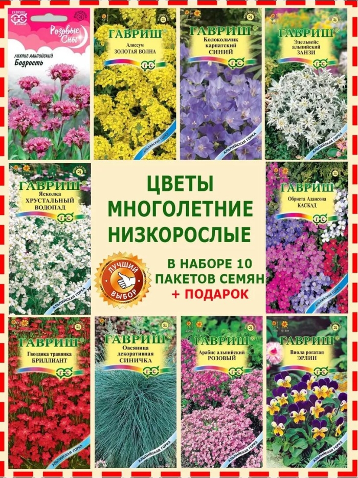 Гавриш набор декоративных цветов многолетних