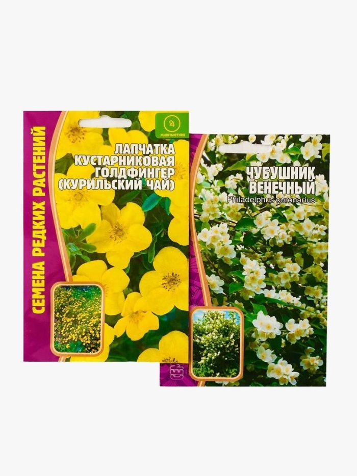 Лапчатка кустарниковая голдфингер