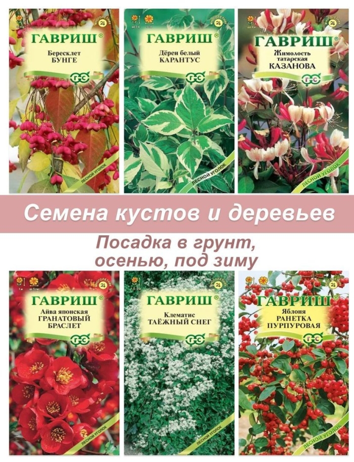 Семена кустов