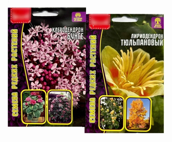 Лириодендрон тюльпановый