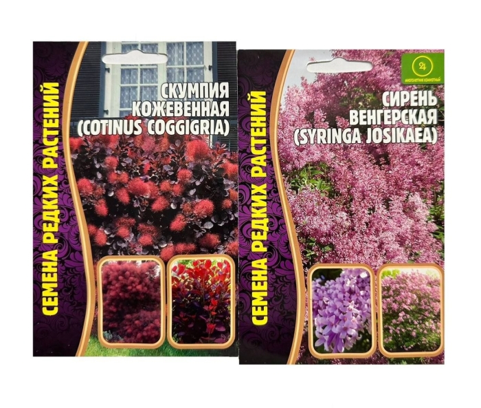 Семена сирень венгерская