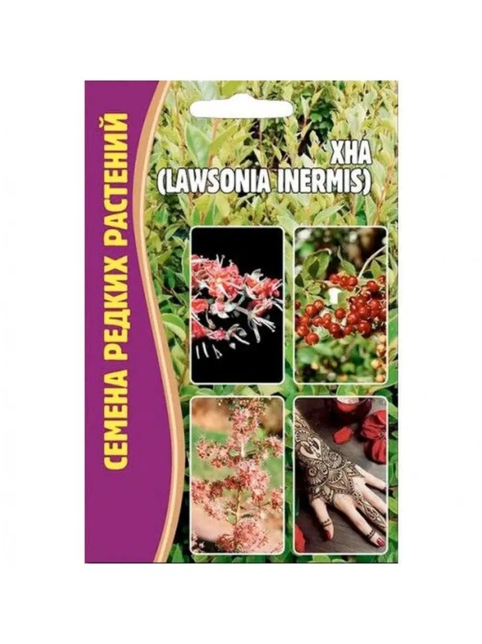 Хна lawsonia inermis