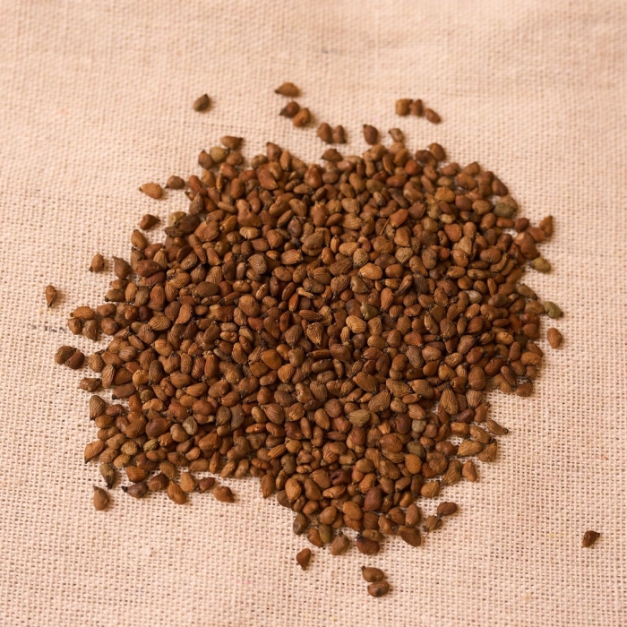 Гречишный чай ку цяо