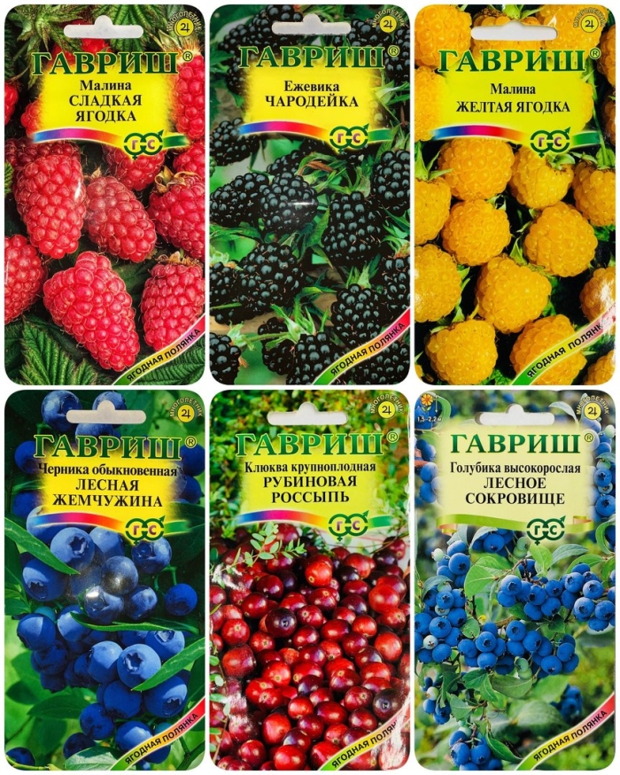 Малина сладкая ягодка гавриш