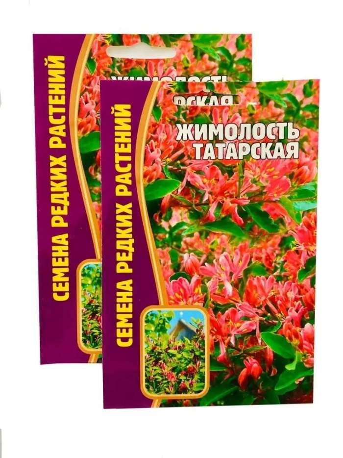 Татарская жимолость