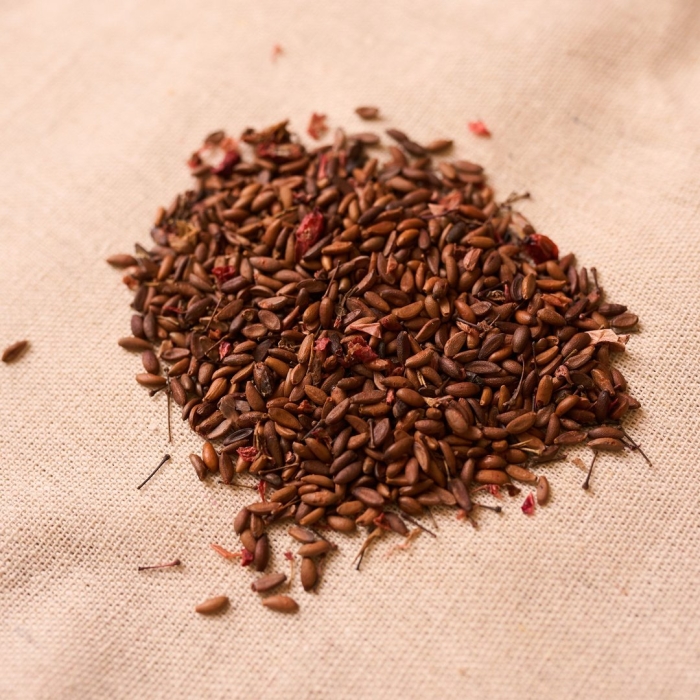 Рис красный девзира