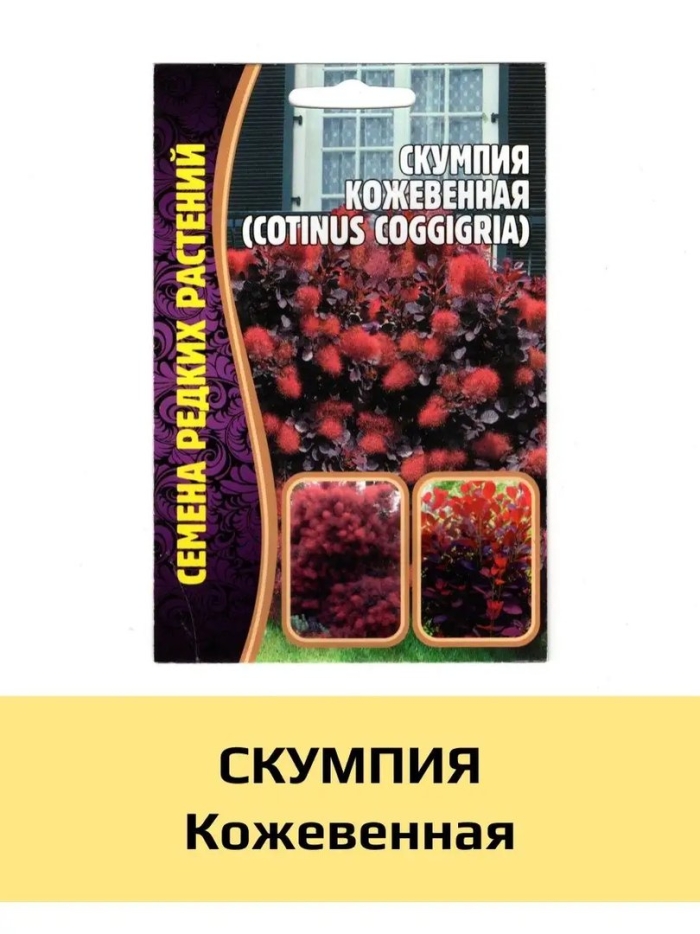 Скумпия кожевенная