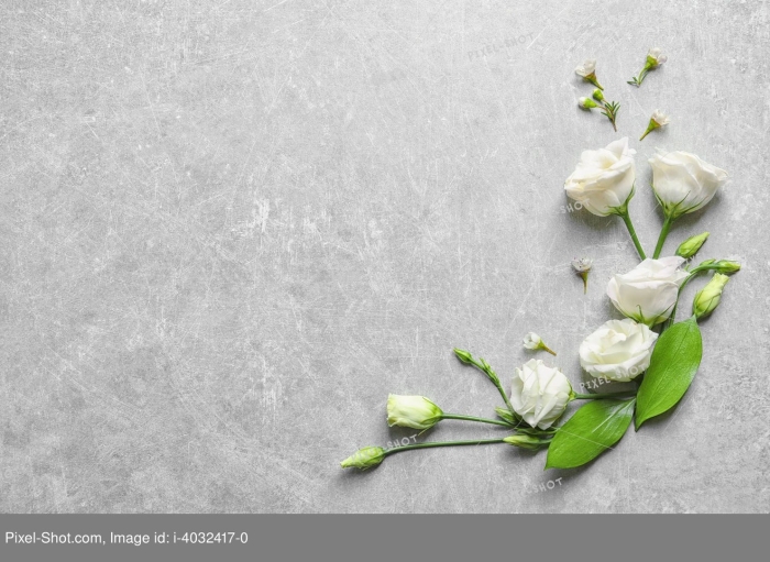 Фон белые цветы