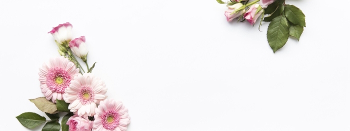 Белый фон цветы