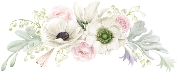 Акварель анемоны ранункулюсы