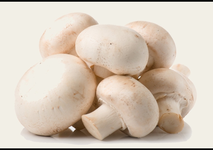Гриб шампиньон