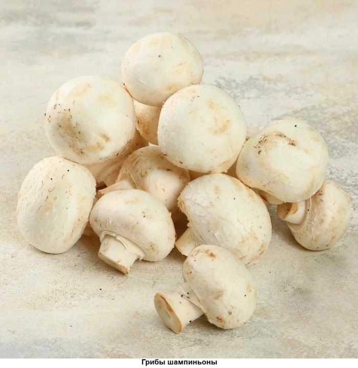 Гриб шампиньон