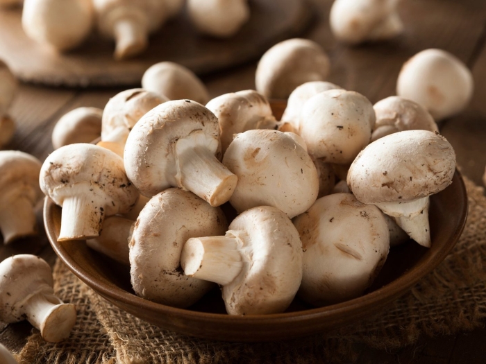 Шампиньон большой