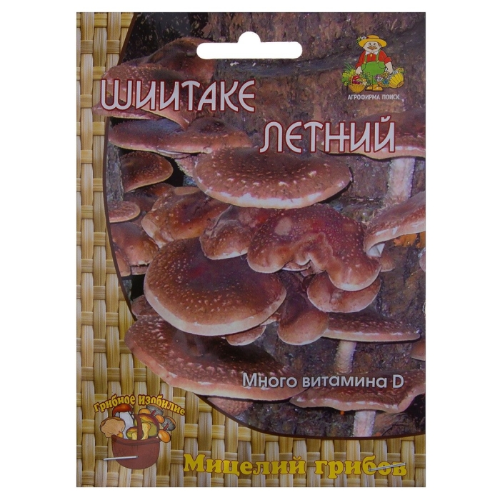 Мицелий шиитаке летний