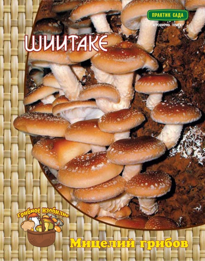 Мицелий шиитаке