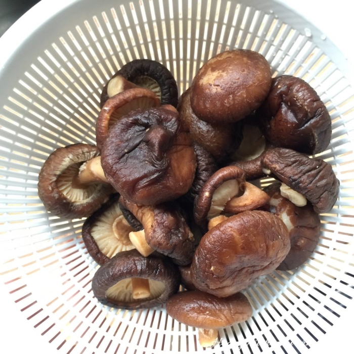 Древесные грибы шиитаке