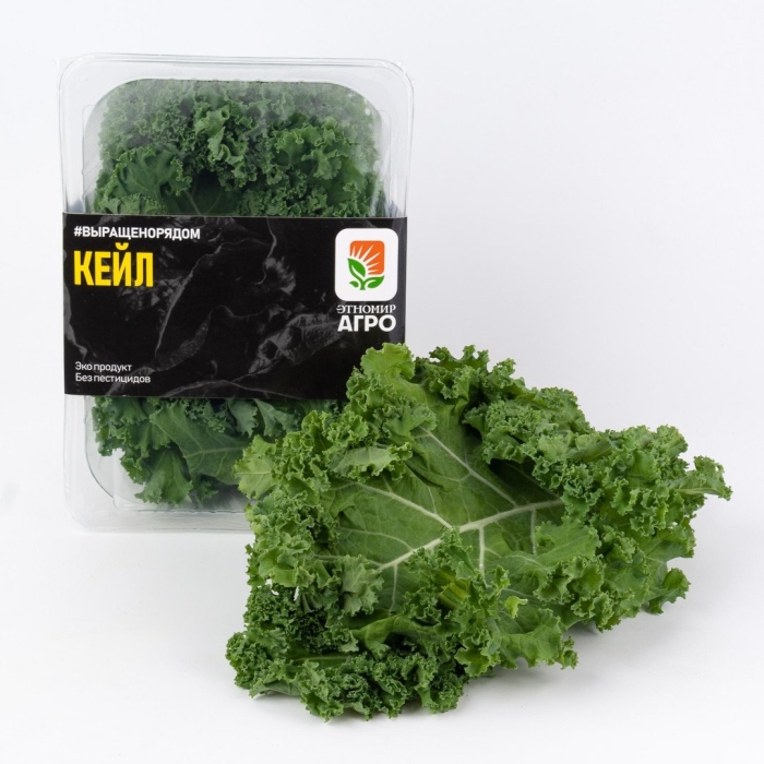 Листовая капуста кейл