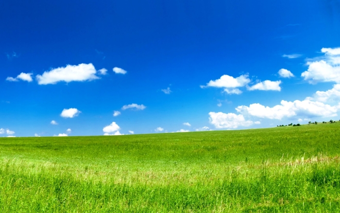 Трава и небо