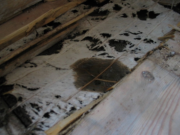 Пол в деревянном доме