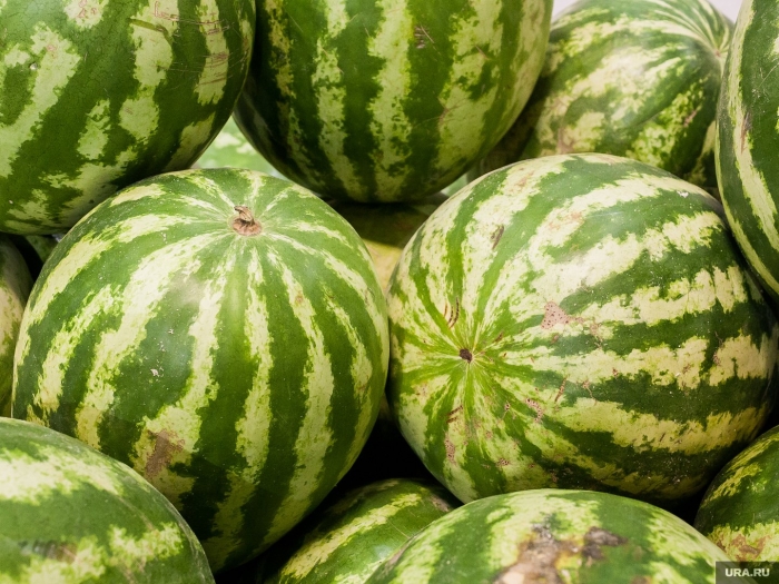 Большие арбузы