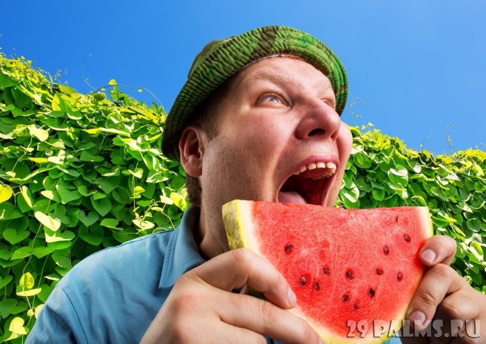 Мужик с арбузами