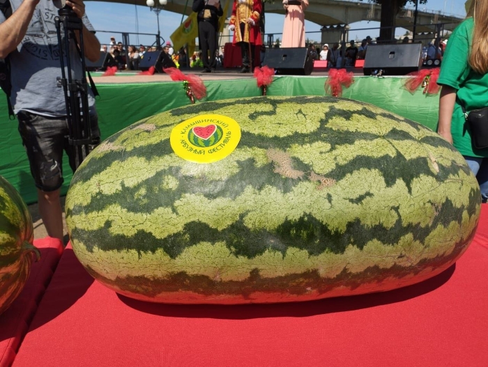 Самый большой арбуз в мире книга рекордов