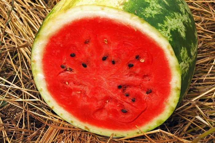 Арбуз тайгер