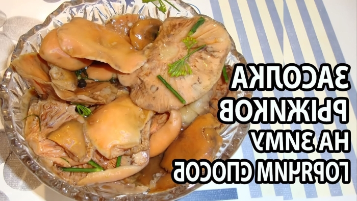 Вешенки грибы блюда