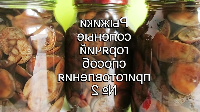 Подтопольники грибы маринованные