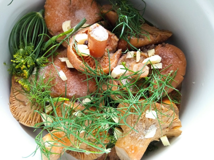 Солёные грибы