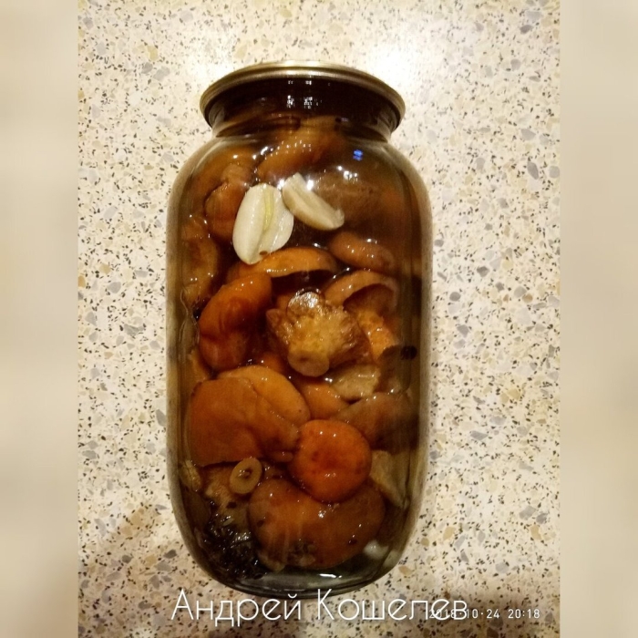 Заготовки из рыжиков на зиму