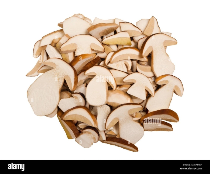 Сушёный белый гриб