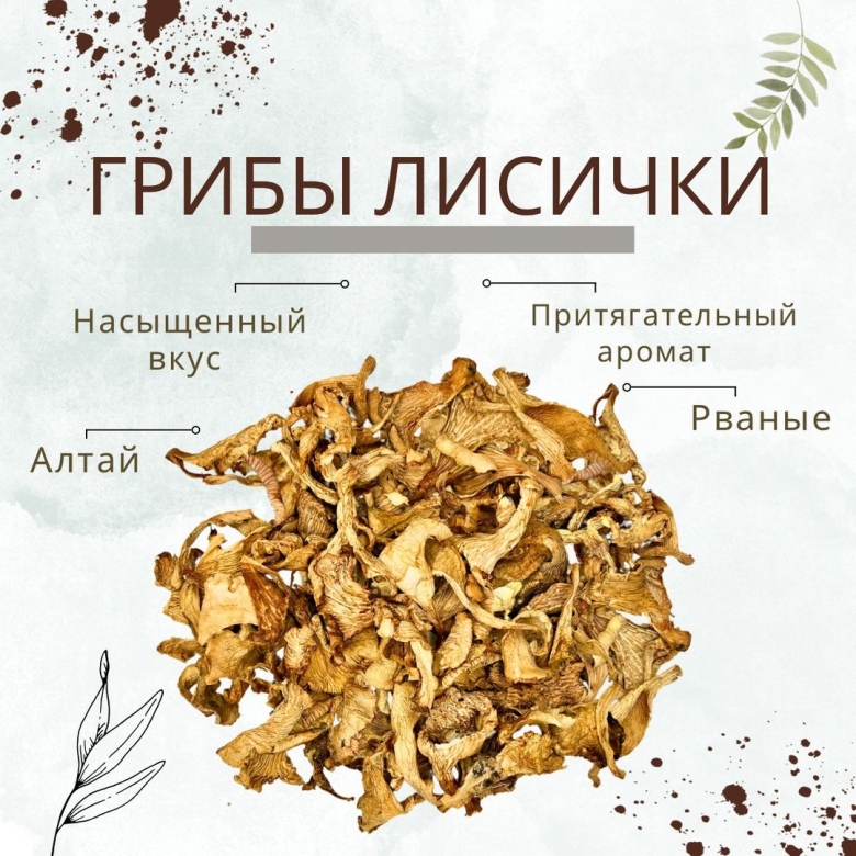 Гриб лисичка сушеная