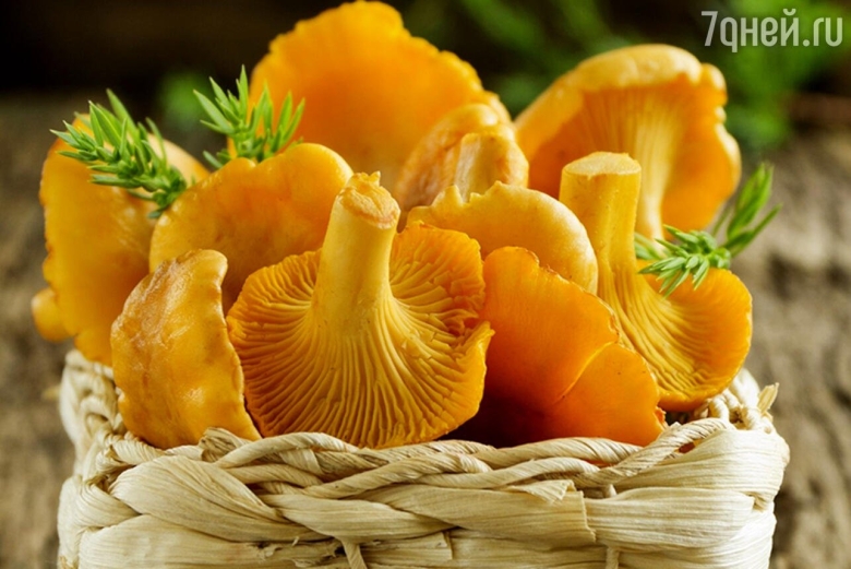 Съедобные грибы лисички