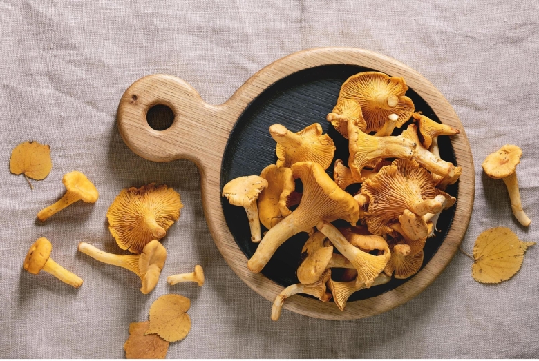 Лисички от паразитов