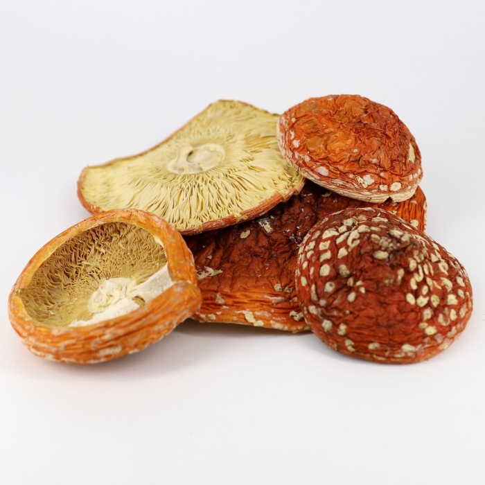 Мухомор красный сушеный