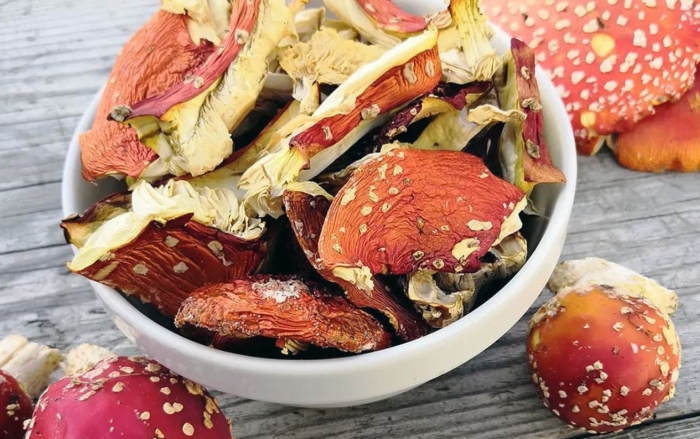 Сухой мухомор красный amanita muscaria