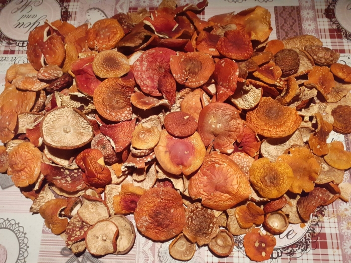 Мухомор красный