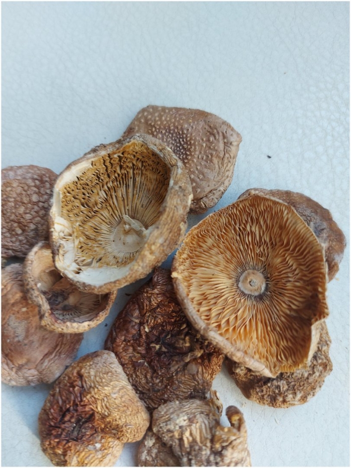 Гриб шиитаке сушеный