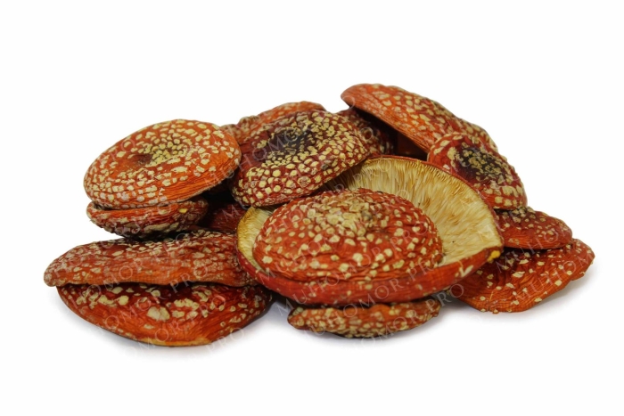 Пантерный мухомор сушеный