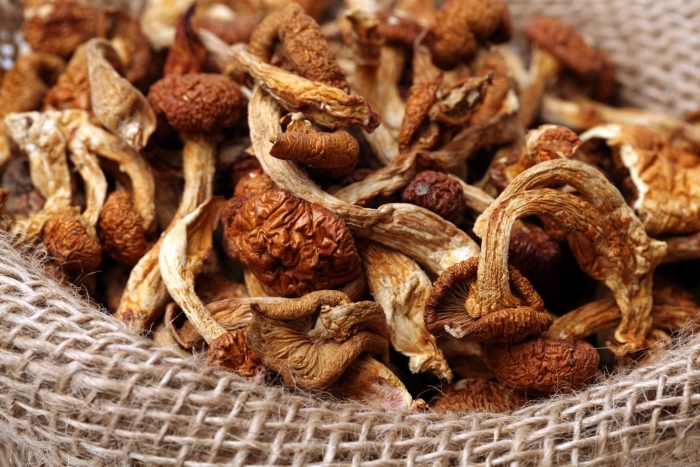 Высушенные грибы