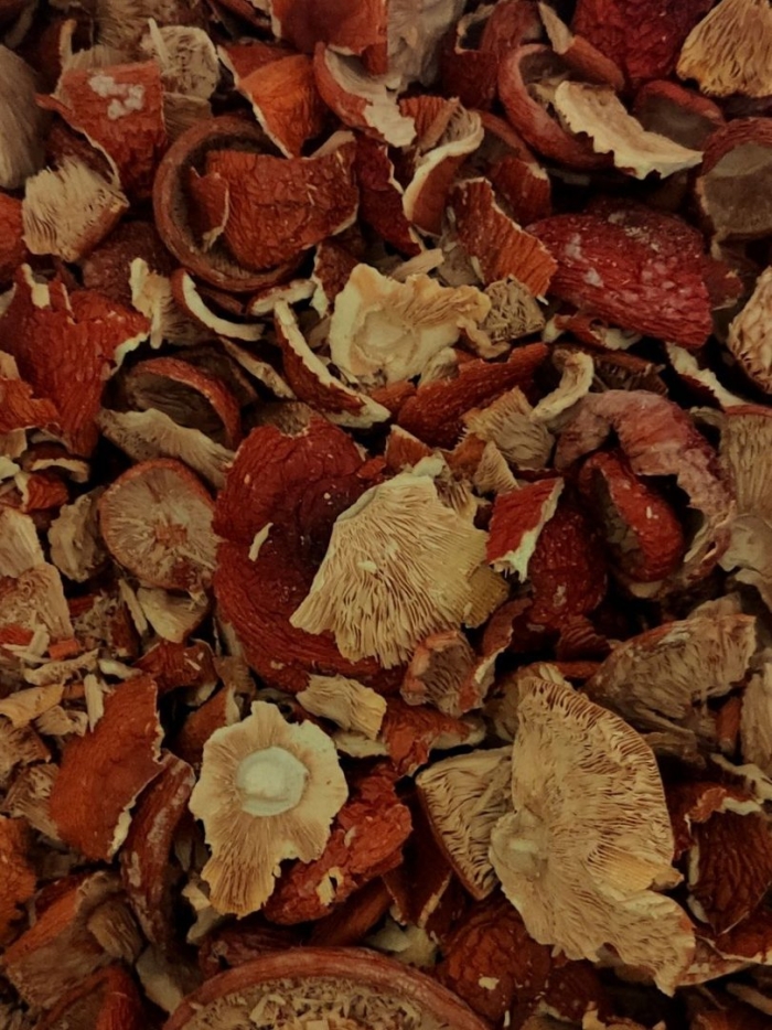 Мухомор сушеный