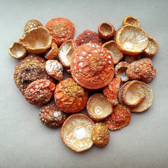 Мухомор красный сушеный