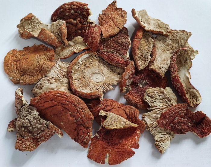 Мухомор шляпка