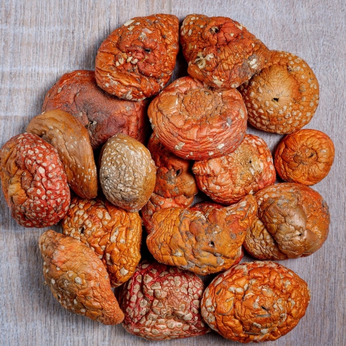 Мухомор сушеный