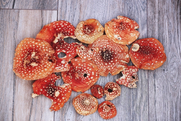 Мухомор аманита мускария сушеный